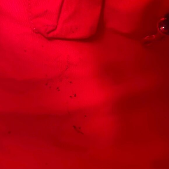 Dooney & Bourke Zebra Print Large Leather Tote Shoulder Bag Purse With Dust Bag - Picture 12 of 16